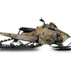 Desert