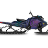 Cyber