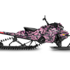 Wild Pink